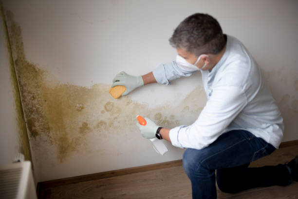Best Real Estate Mold Inspection  in Tyndall, SD