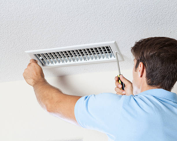 Best Basement Mold Removal  in Tyndall, SD